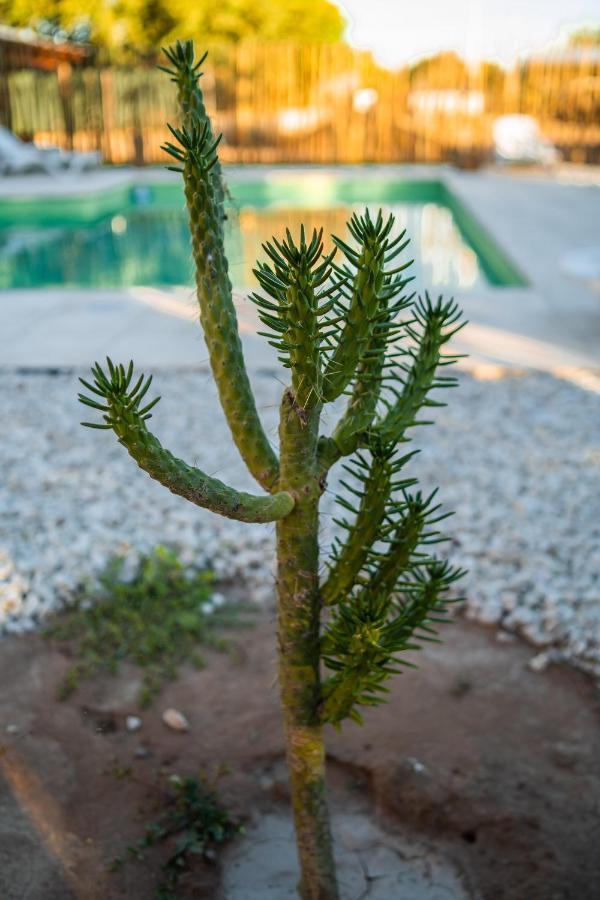 Las Salinas Gran Hotel San Jose de Las Salinas ภายนอก รูปภาพ